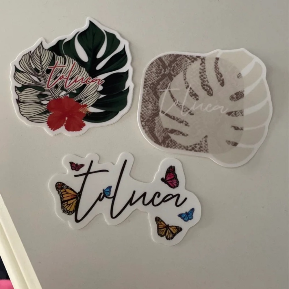 Set of three Toluca Swim Stickers